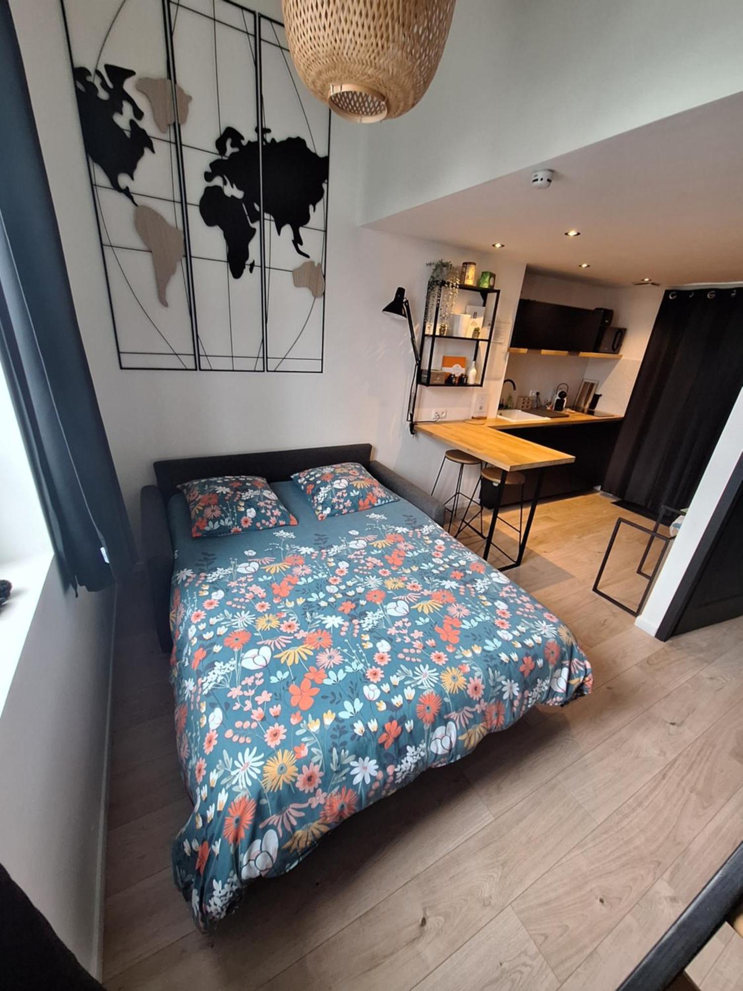Maison "Le Figuier" Trevoux Climatisee エクステリア 写真